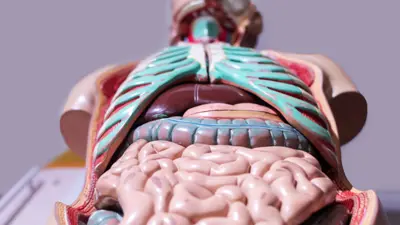Cursus Medische Kennis (1)